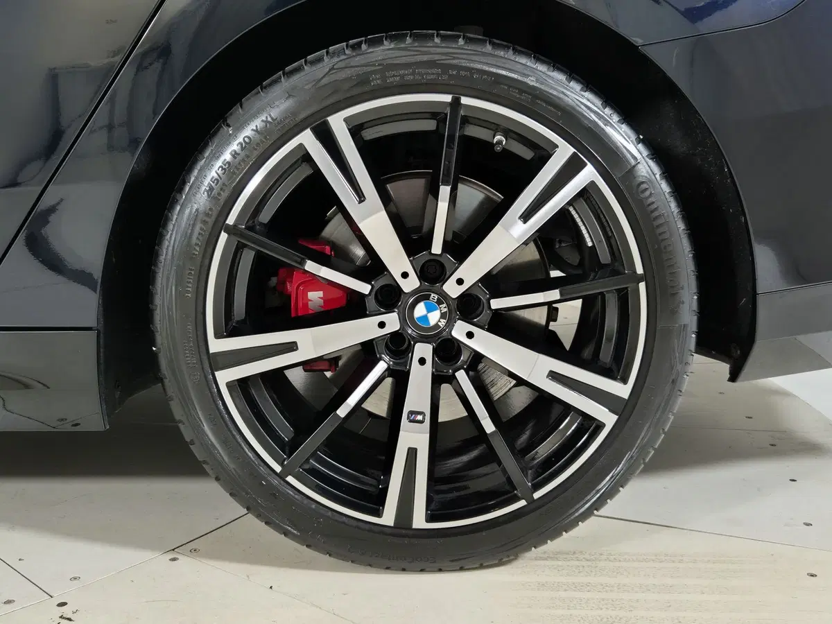 BMW Serie 5 usata a Torino (13)