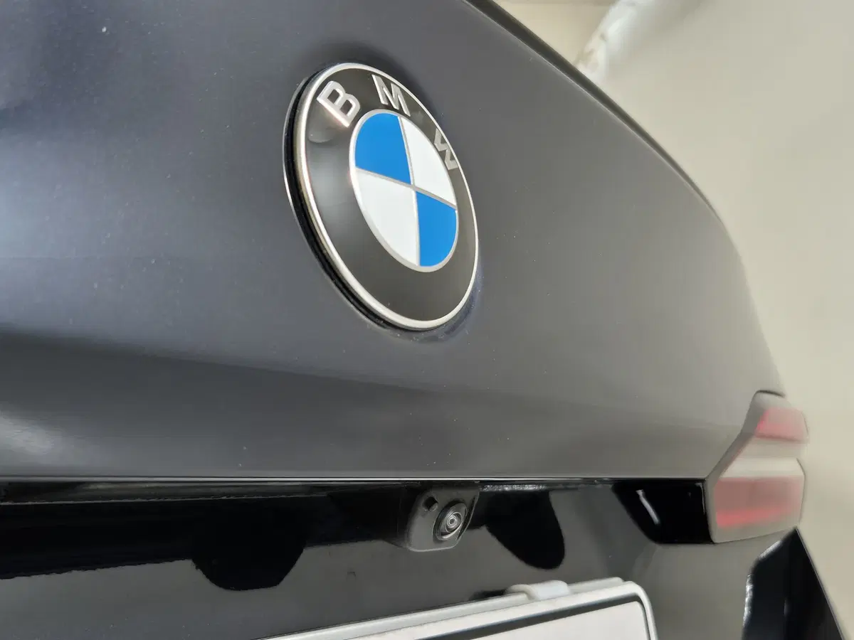BMW Serie 5 usata a Torino (17)