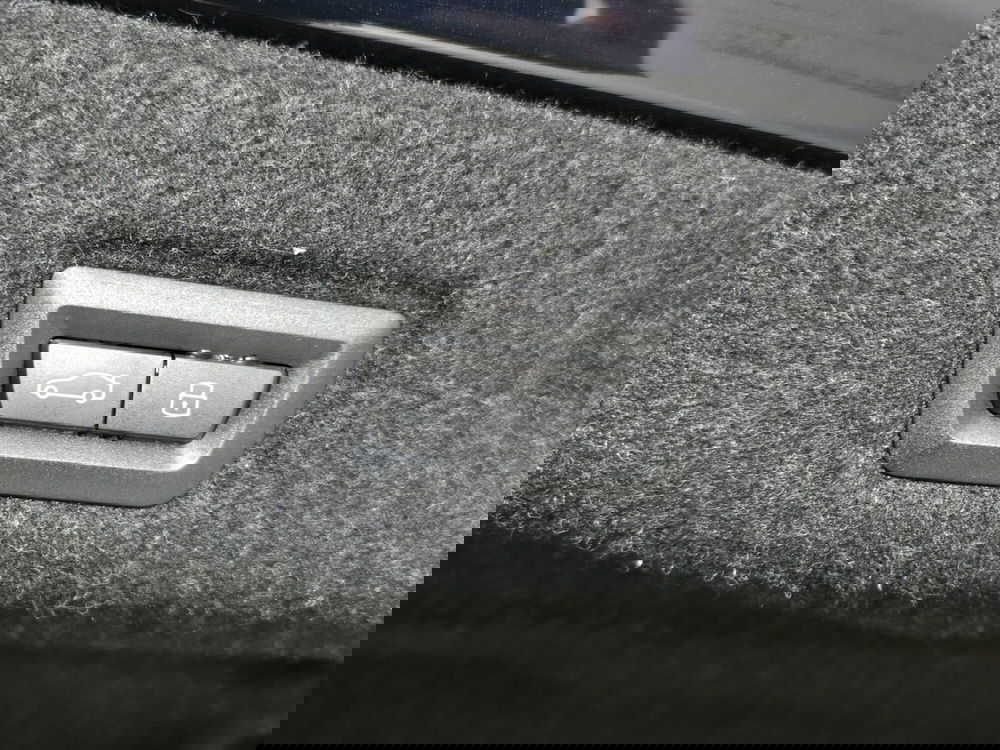 BMW Serie 5 usata a Torino (18)