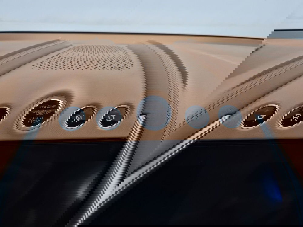 Aston Martin DBX usata a Torino (10)