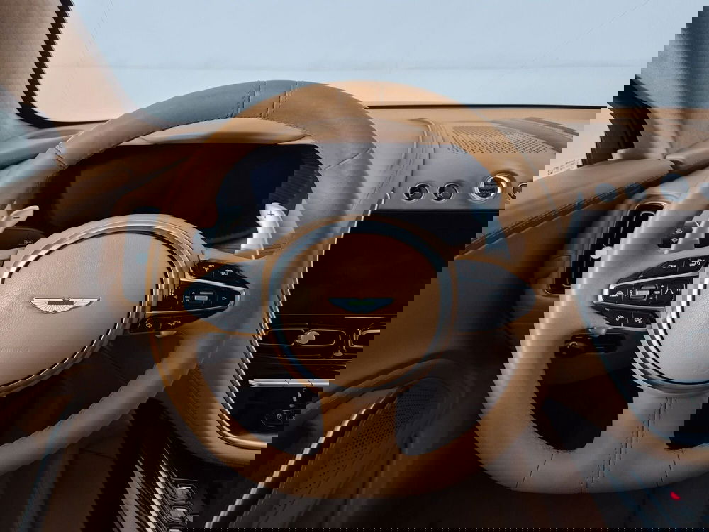 Aston Martin DBX usata a Torino (9)