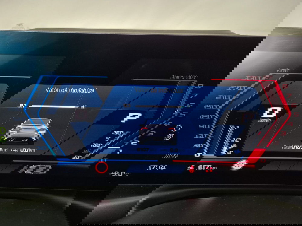 BMW Serie 2 Coupé usata a Torino (15)