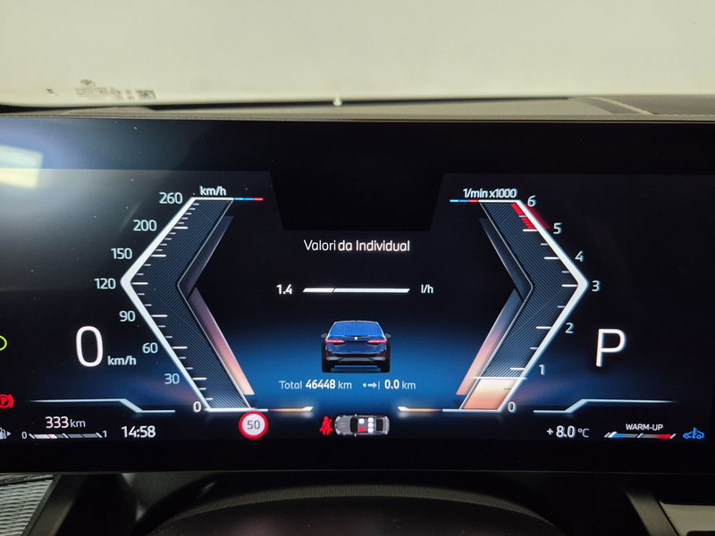 BMW Serie 5 usata a Torino (12)