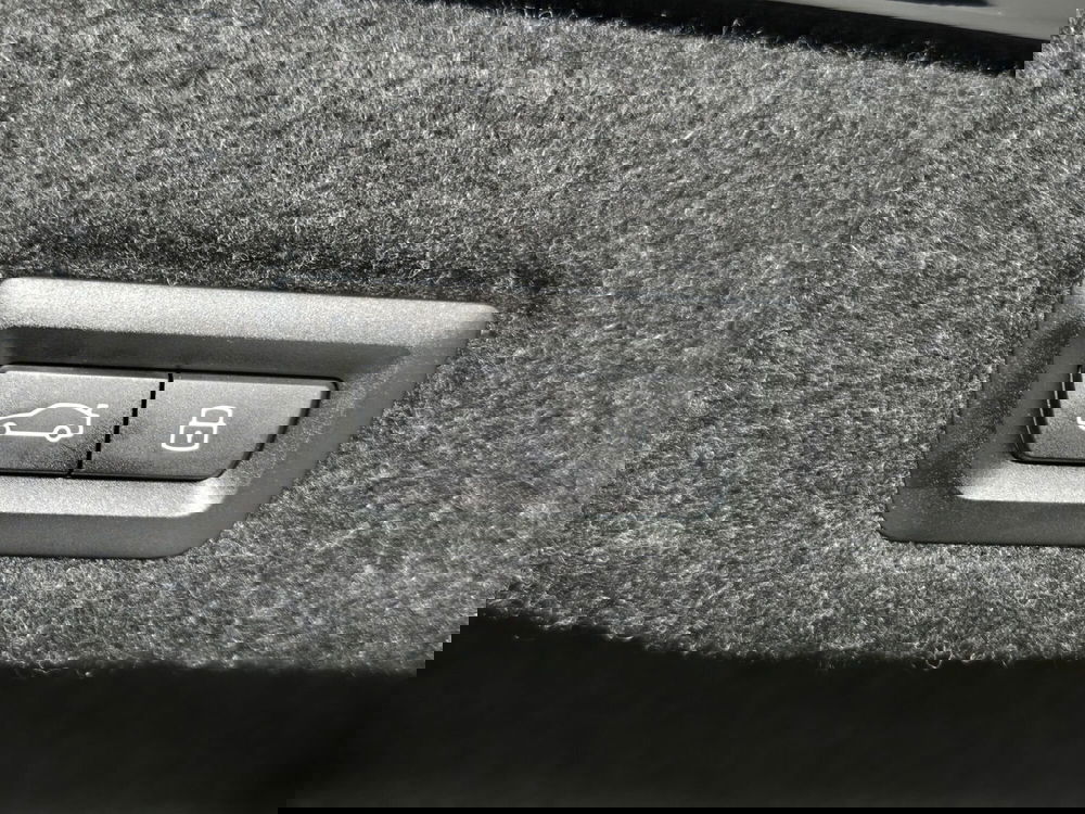 BMW Serie 5 usata a Torino (15)