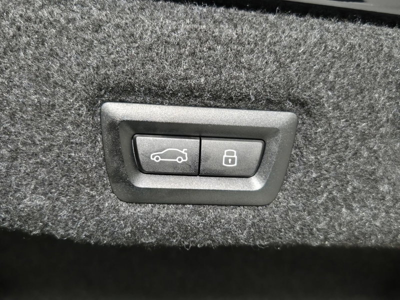 BMW Serie 5 usata a Torino (15)