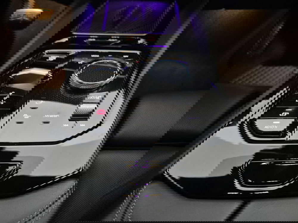 BMW Serie 5 usata a Torino (11)