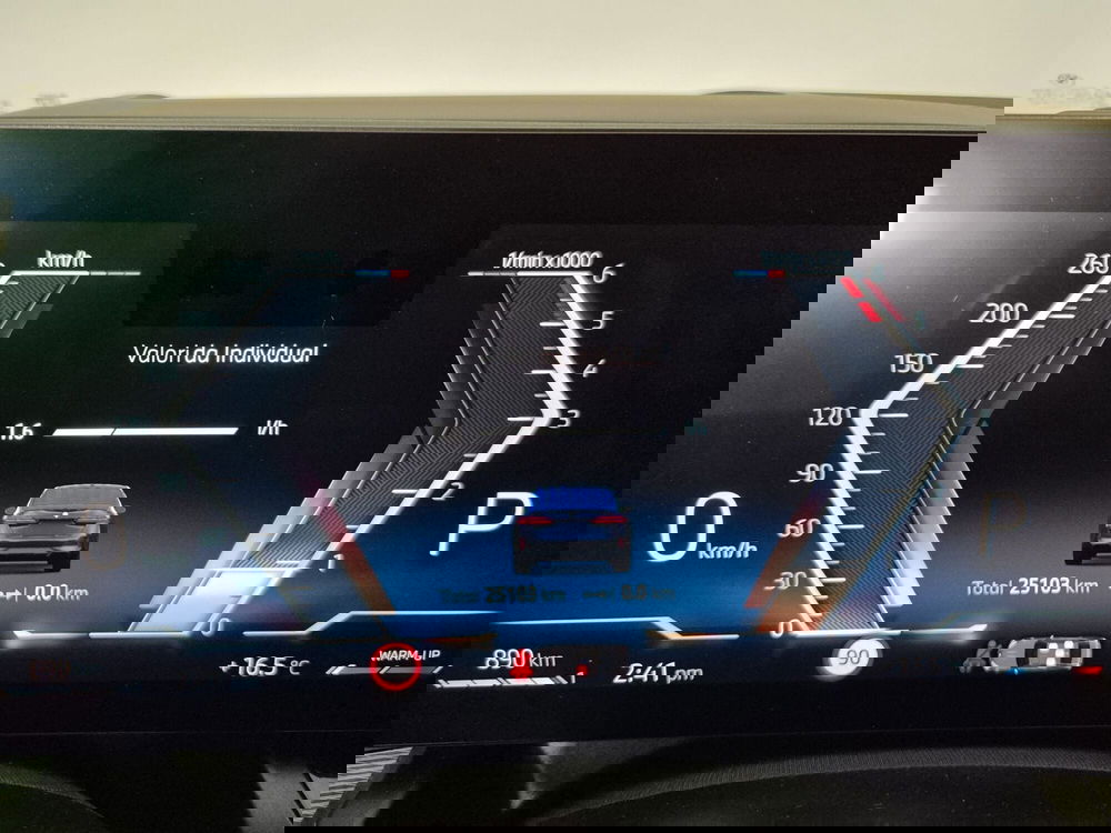 BMW Serie 5 usata a Torino (15)