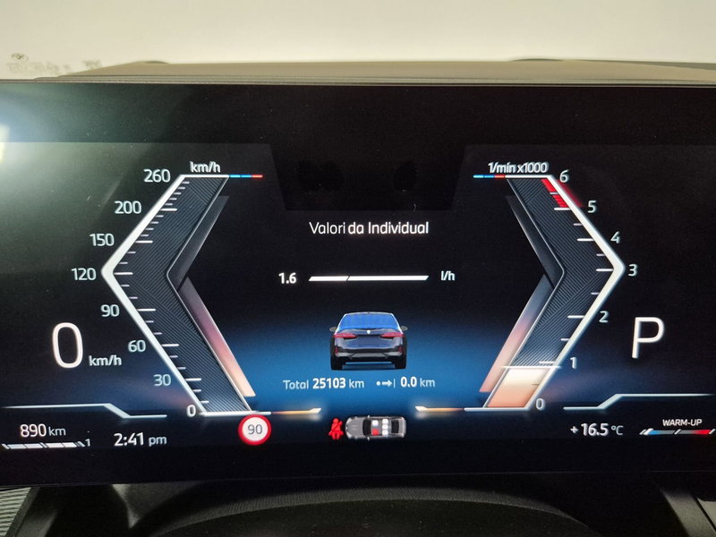 BMW Serie 5 usata a Torino (15)