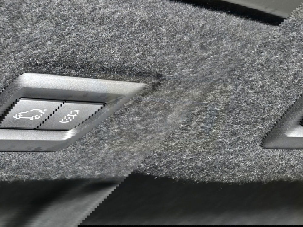 BMW Serie 5 usata a Torino (19)