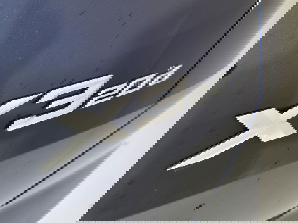 BMW X3 usata a Torino (19)