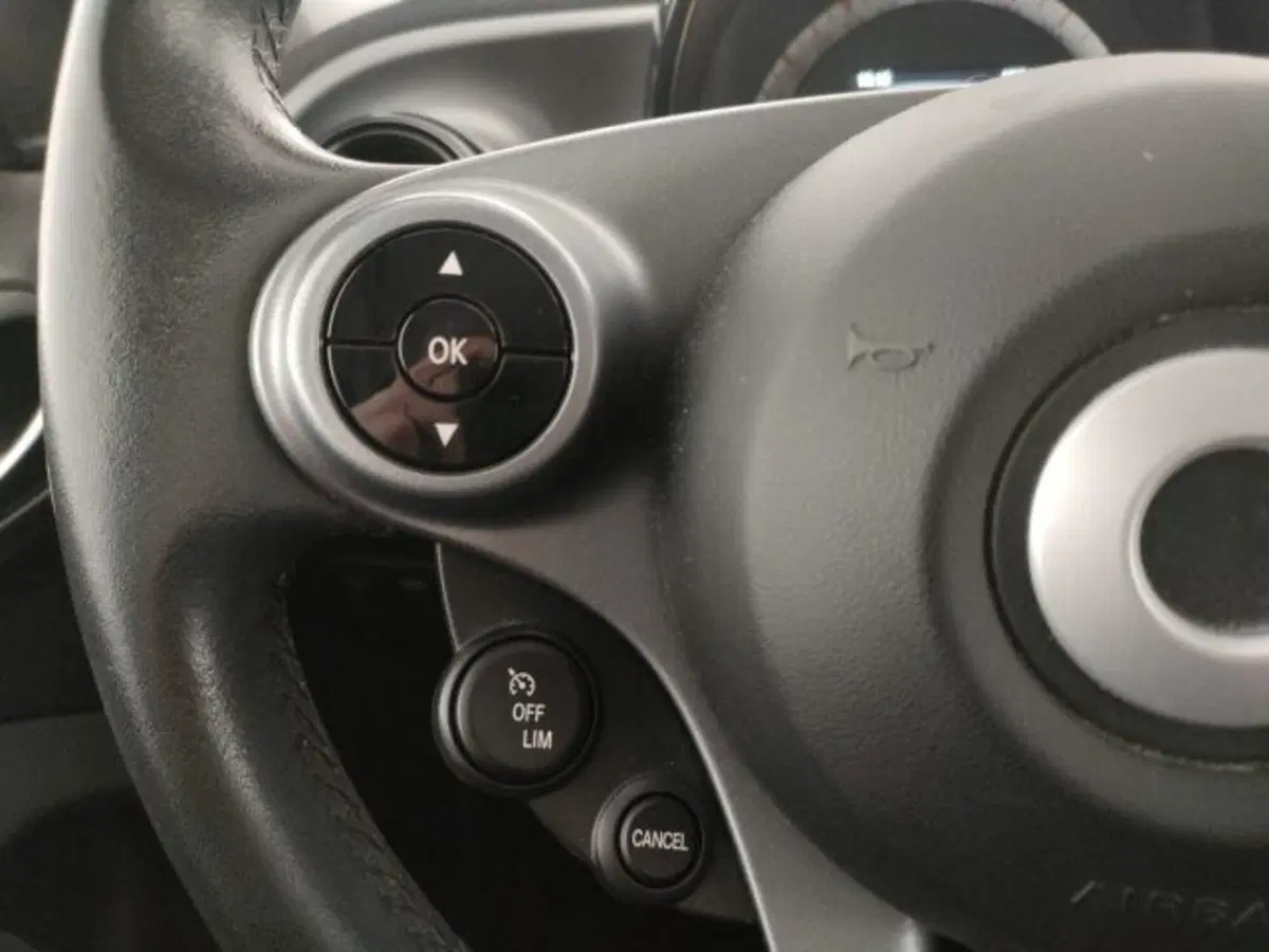 smart forfour usata a Modena (16)