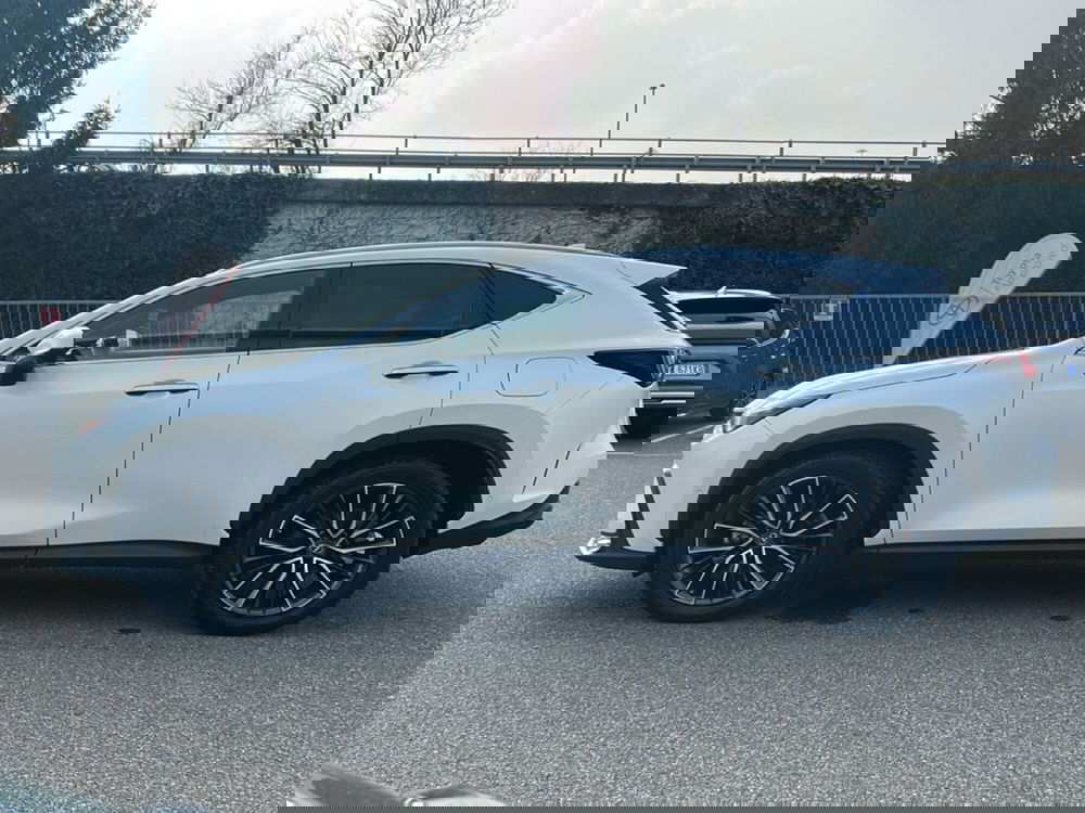 Lexus NX usata a Piacenza (3)