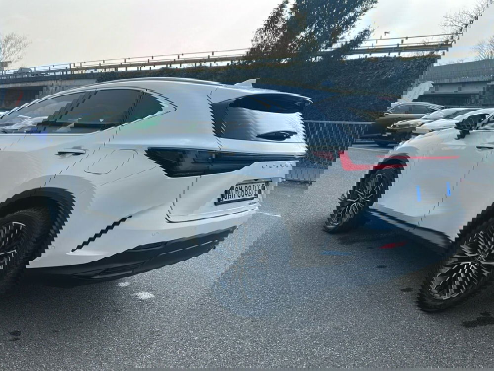 Lexus NX usata a Piacenza (4)