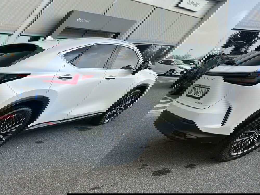 Lexus NX usata a Piacenza (6)