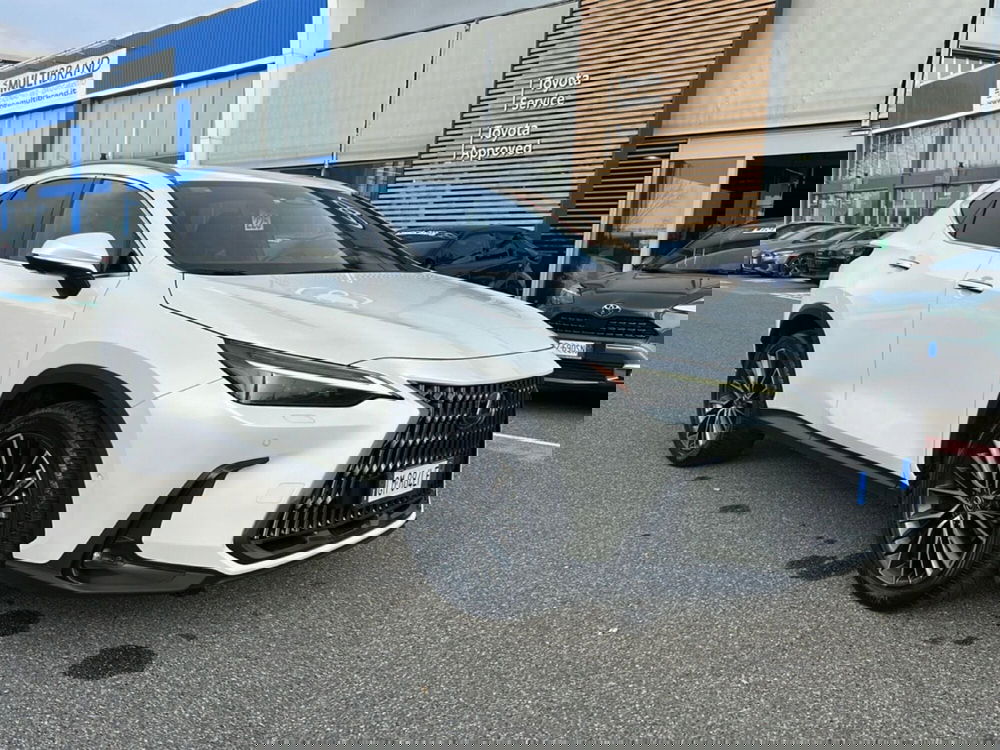 Lexus NX usata a Piacenza (8)