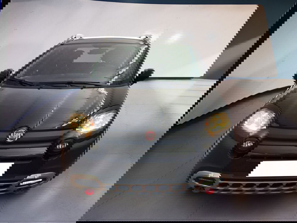 Fiat Panda Cross usata a Torino