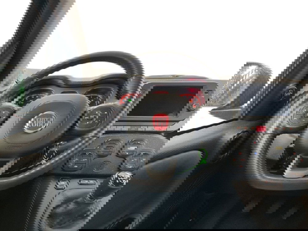 Fiat Panda Cross usata a Torino (12)