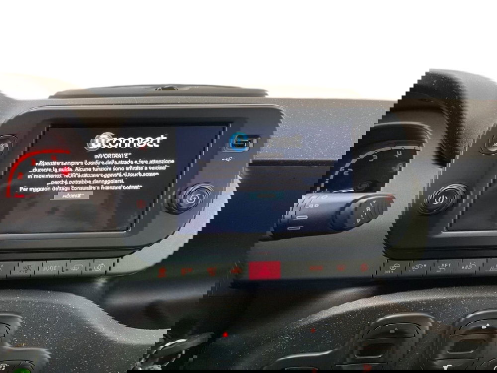 Fiat Panda Cross usata a Torino (14)