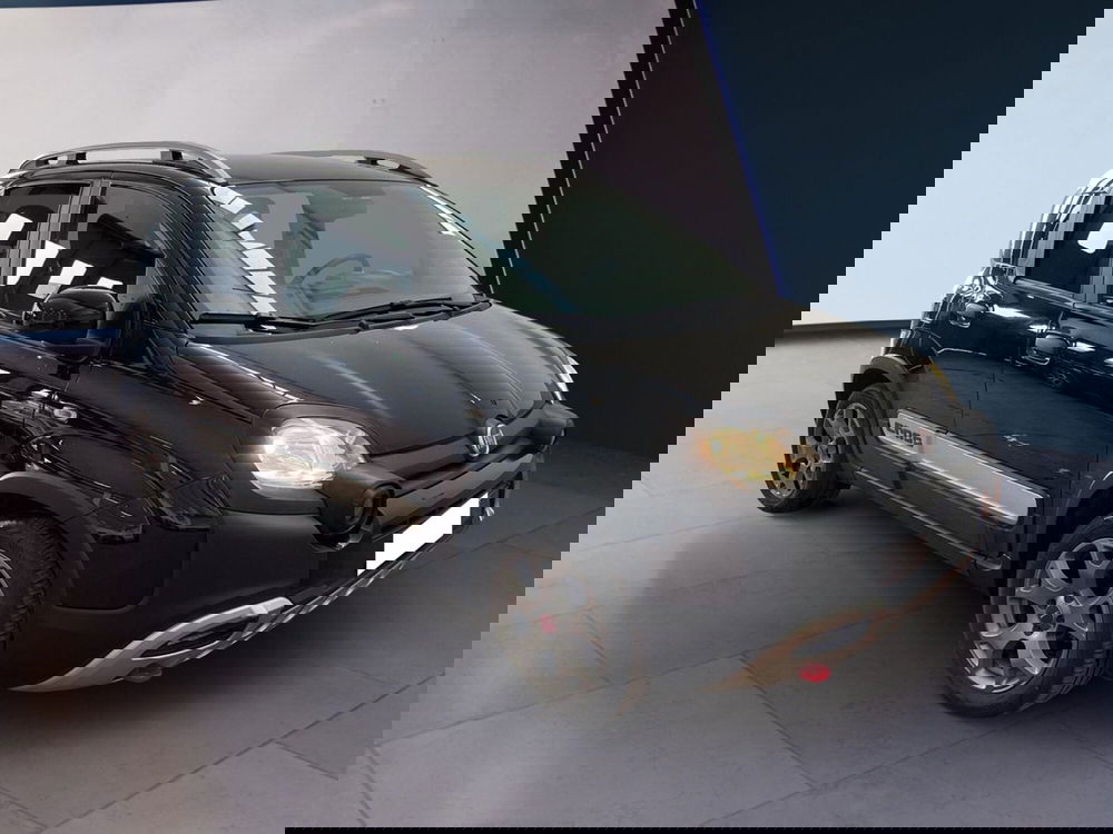 Fiat Panda Cross usata a Torino (2)