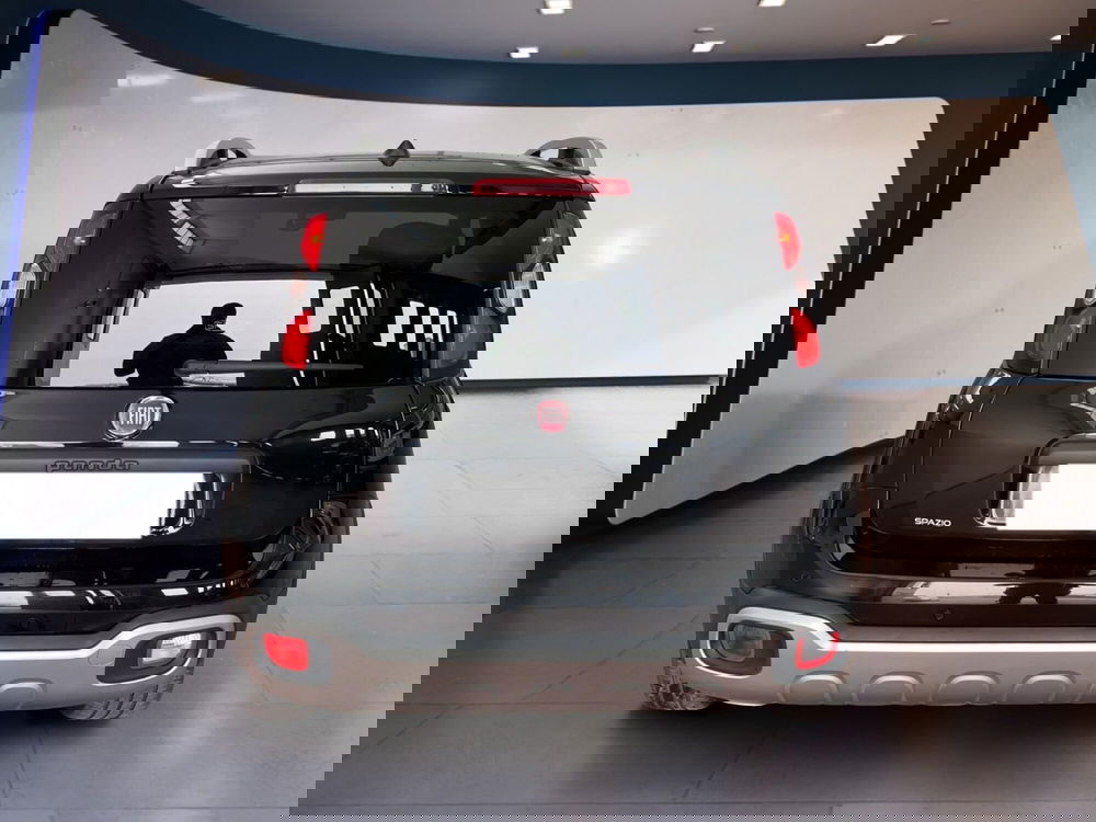 Fiat Panda Cross usata a Torino (5)