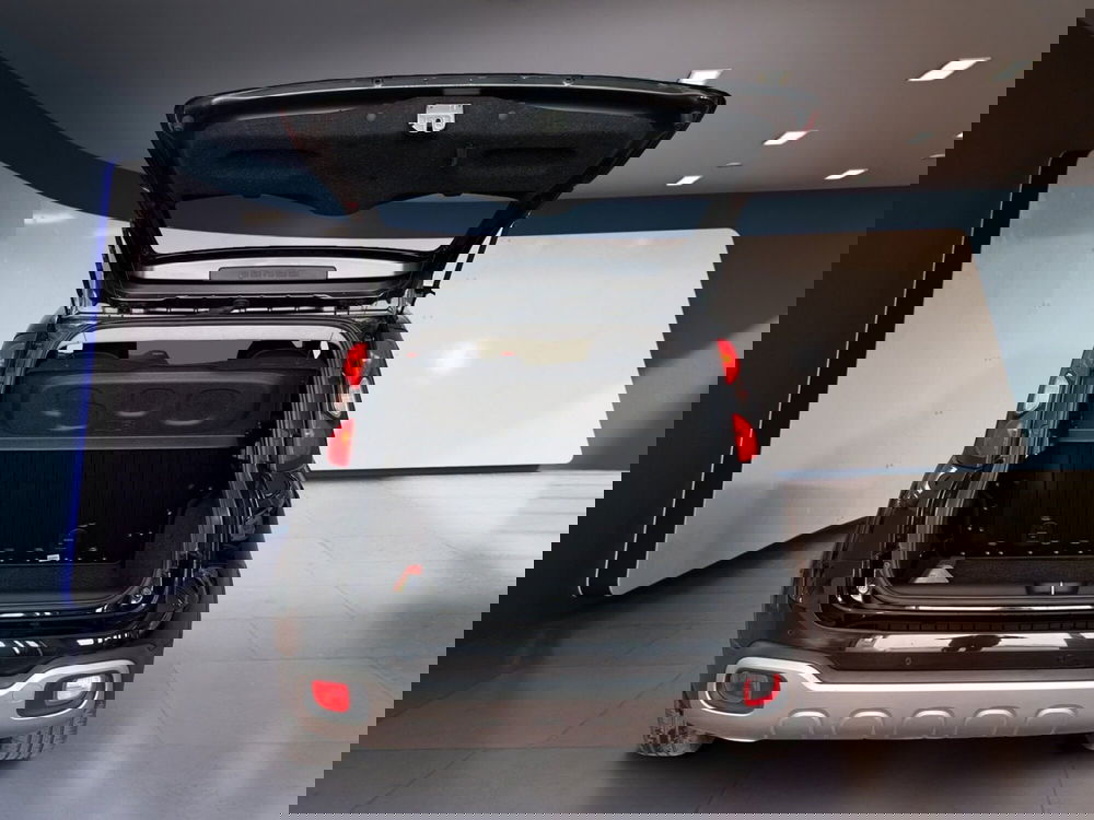 Fiat Panda Cross usata a Torino (8)