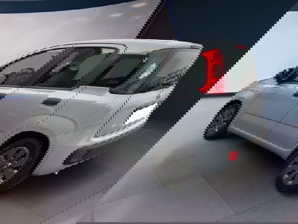 Fiat Panda Cross usata a Torino (4)