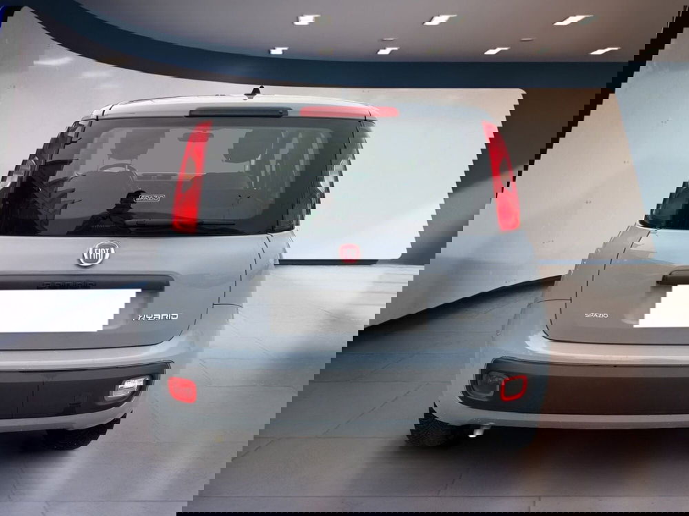 Fiat Panda Cross usata a Torino (5)