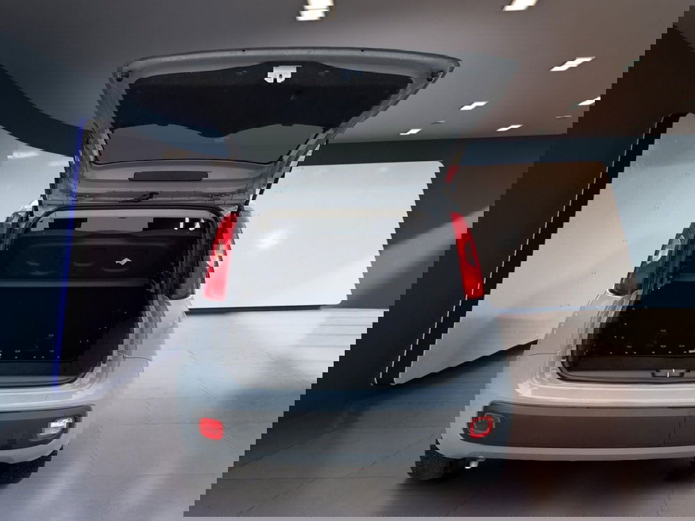 Fiat Panda Cross usata a Torino (7)