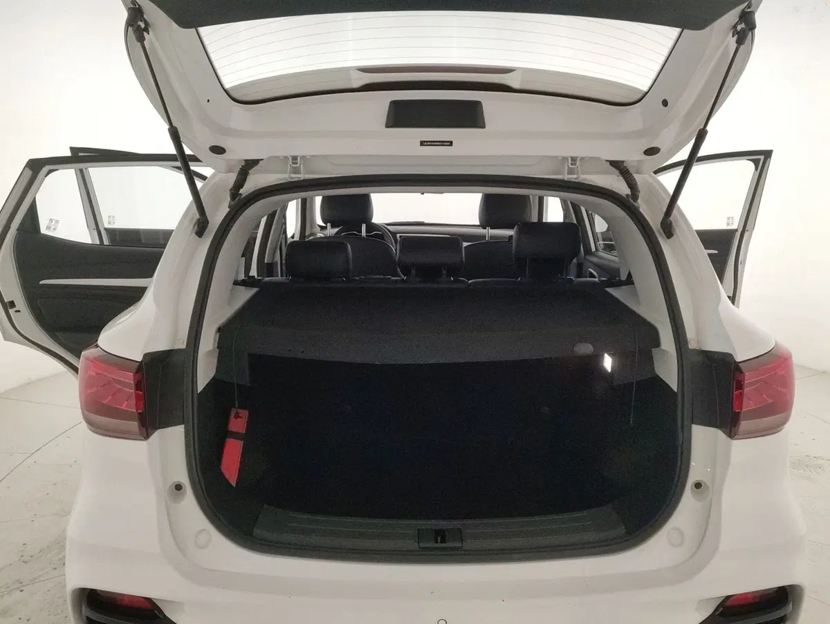 Mg ZS usata a Alessandria (11)