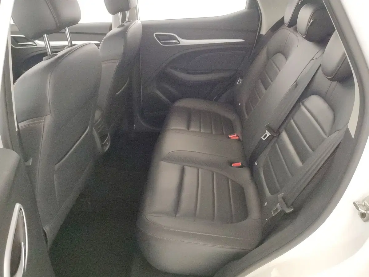 Mg ZS usata a Alessandria (7)