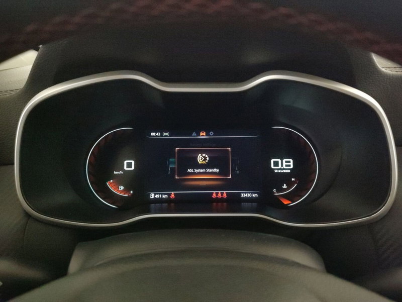 Mg ZS usata a Alessandria (15)