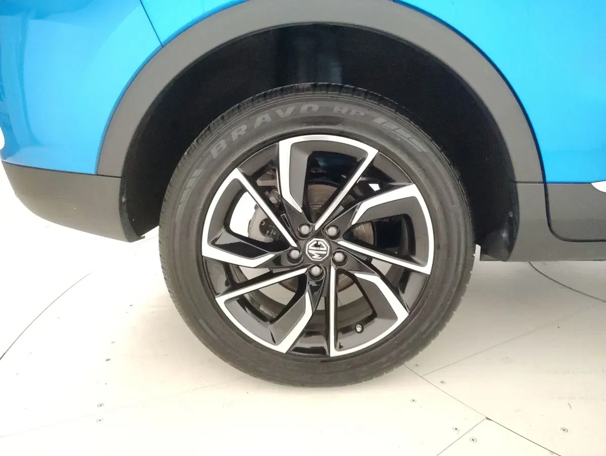 Mg ZS usata a Alessandria (14)