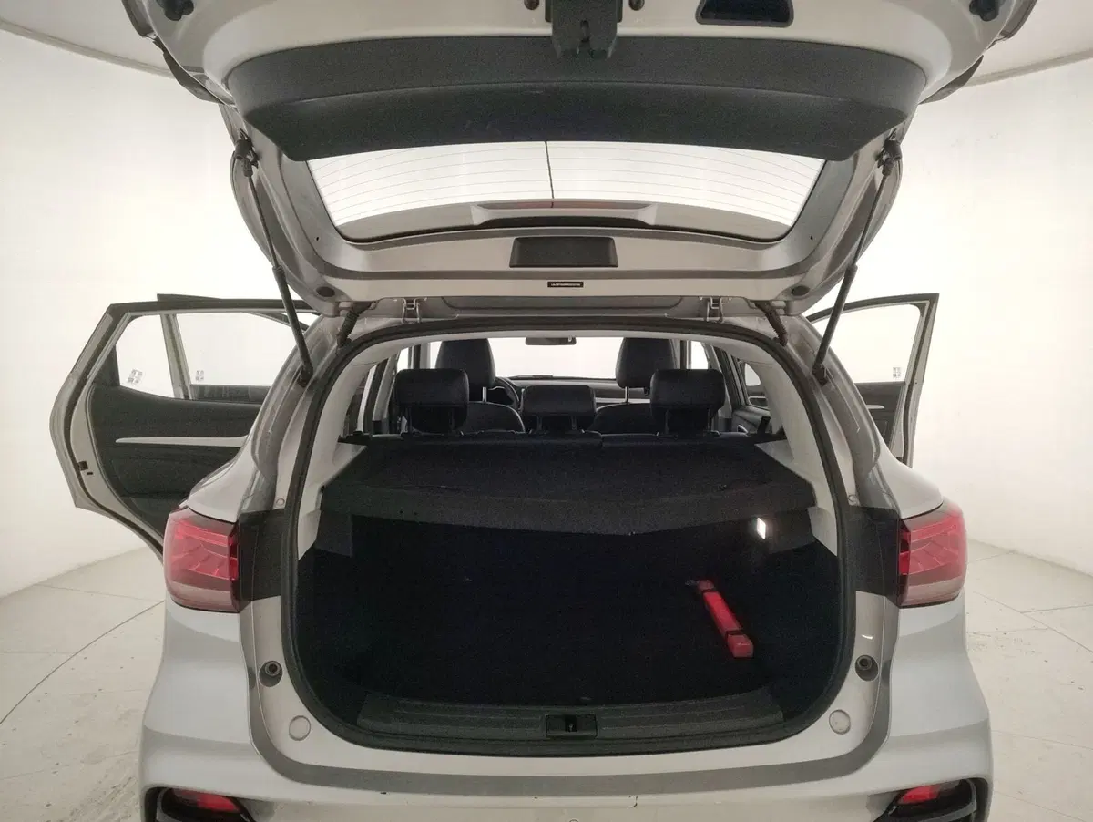 Mg ZS usata a Alessandria (11)