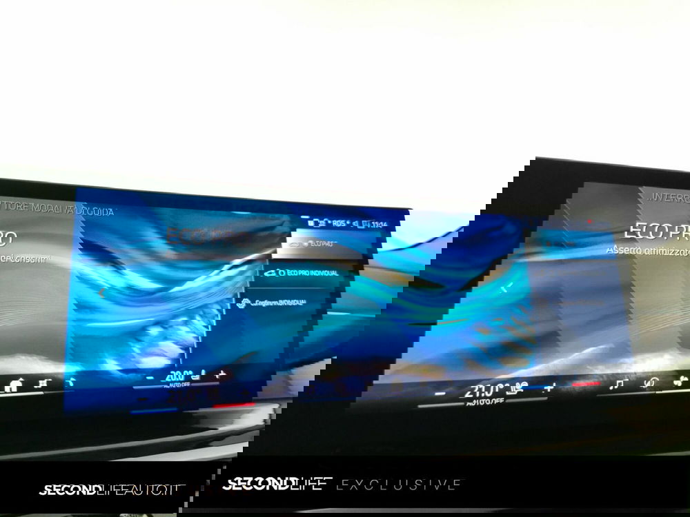 BMW X5 usata a Chieti (19)