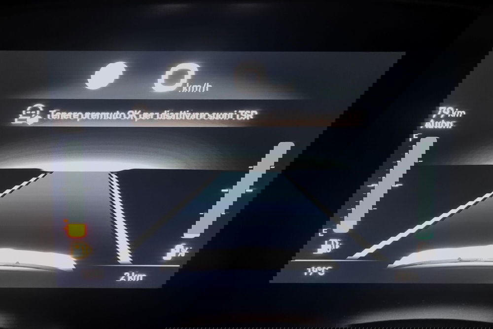 Fiat Panda Cross nuova a Pavia (16)