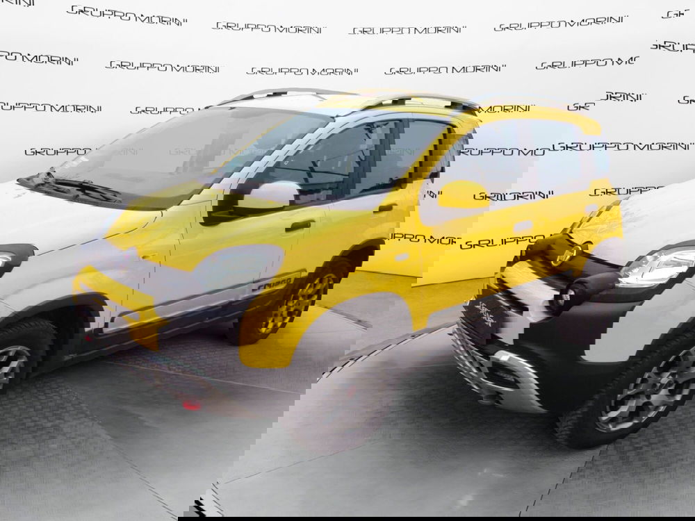 Fiat Panda Cross usata a Bologna