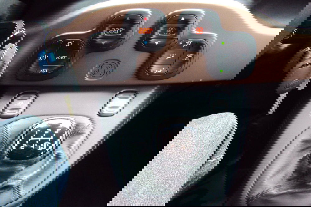 Fiat Panda Cross usata a Bologna (13)