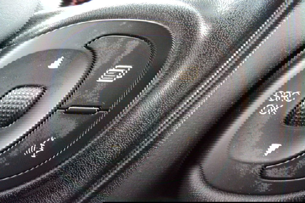 Fiat Panda Cross usata a Bologna (16)