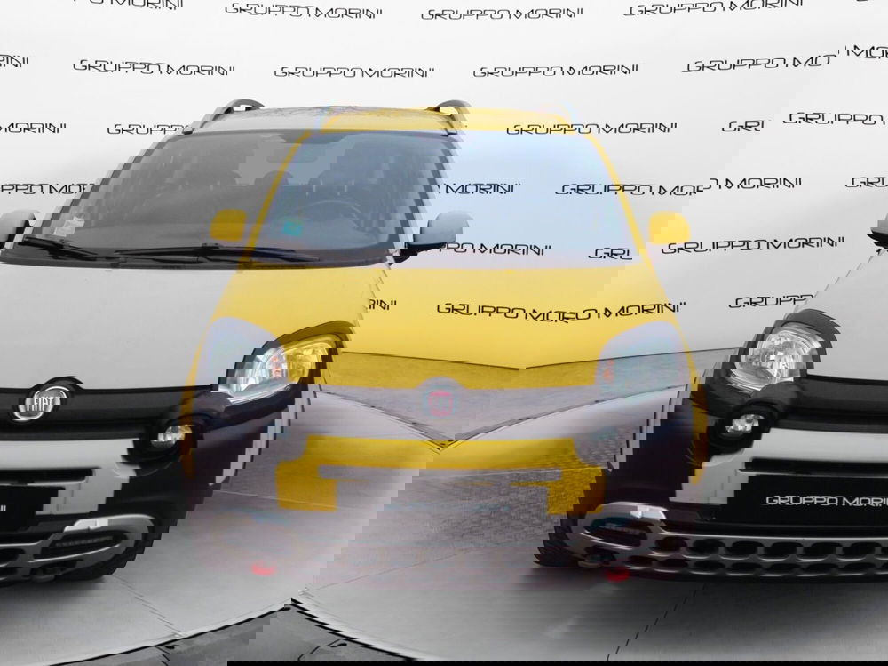 Fiat Panda Cross usata a Bologna (2)