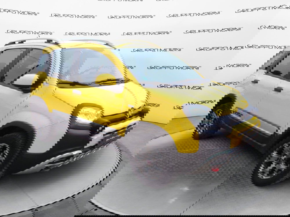 Fiat Panda Cross usata a Bologna (3)