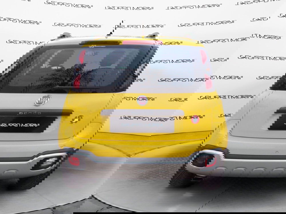 Fiat Panda Cross usata a Bologna (4)