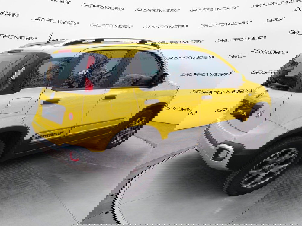 Fiat Panda Cross usata a Bologna (5)