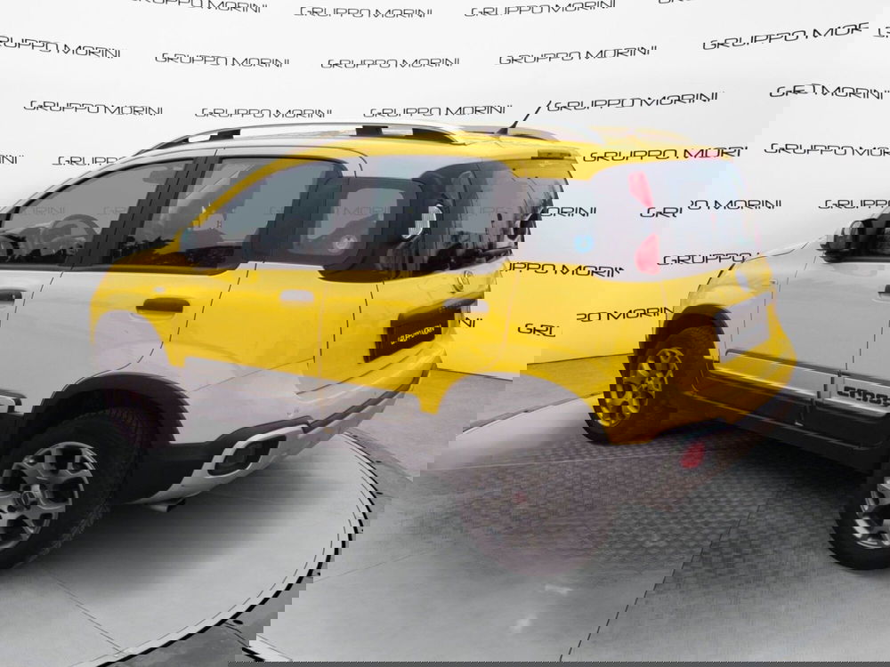 Fiat Panda Cross usata a Bologna (6)