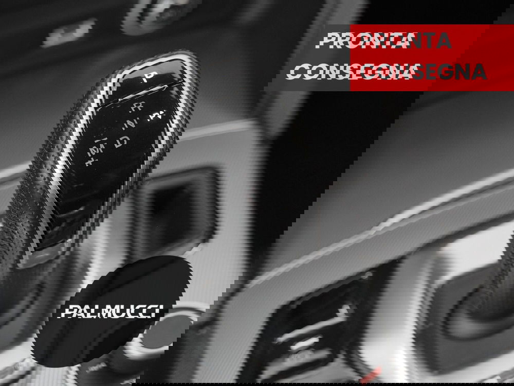 Alfa Romeo Stelvio usata a Prato (9)