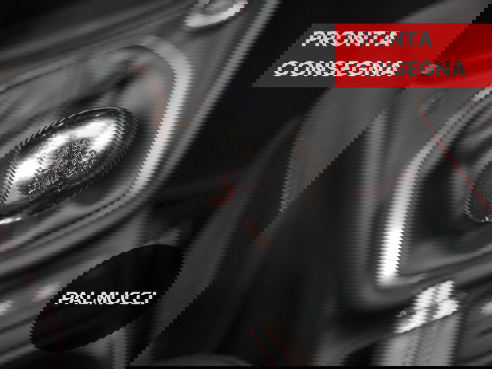 Ford Puma usata a Prato (12)