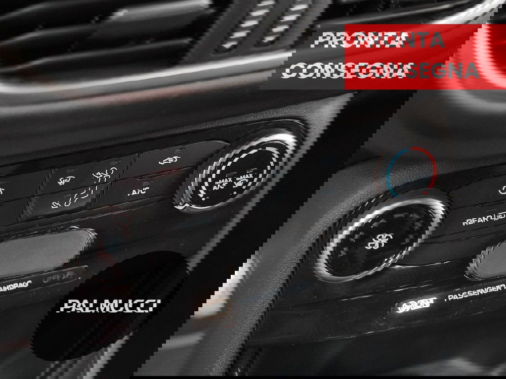 Ford Puma usata a Prato (14)