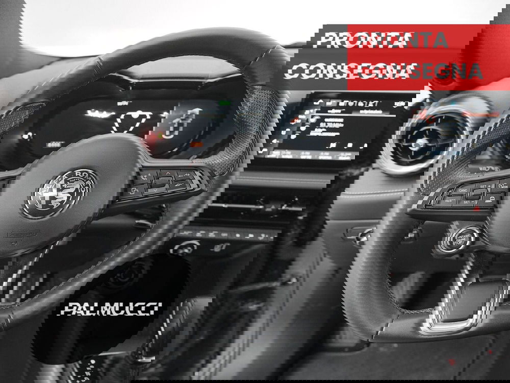 Alfa Romeo Tonale usata a Prato (10)