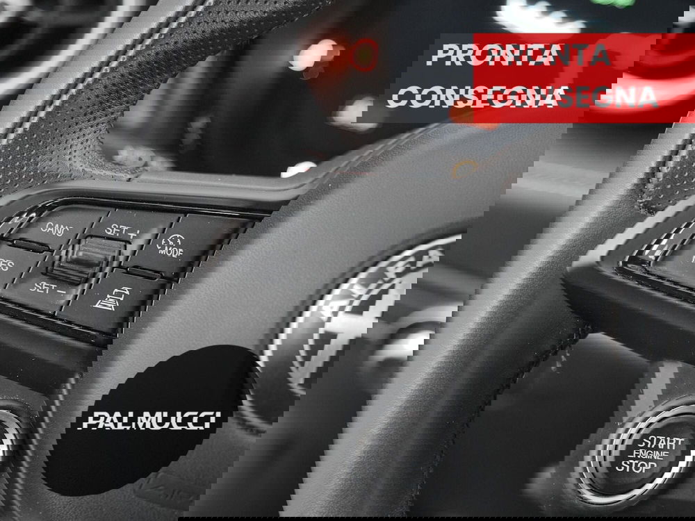 Alfa Romeo Tonale usata a Prato (14)