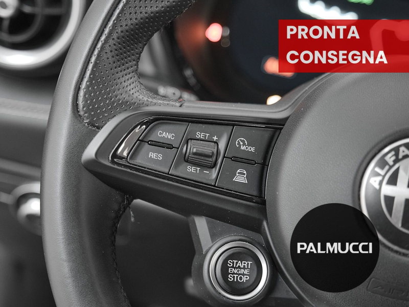 Alfa Romeo Tonale usata a Prato (14)