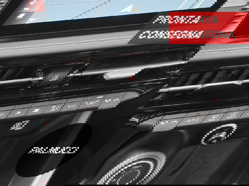 Alfa Romeo Tonale usata a Prato (15)